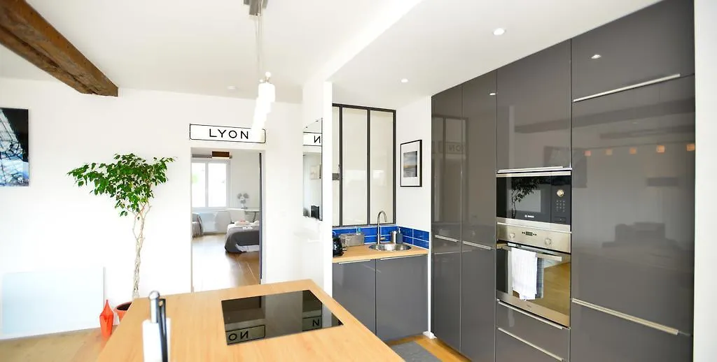 Appartement Appart' Panorama Lyon